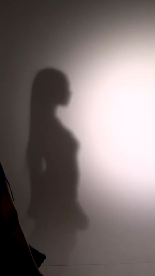 videowise-widget-6675879ca76a3d00290aacea-7459533390017