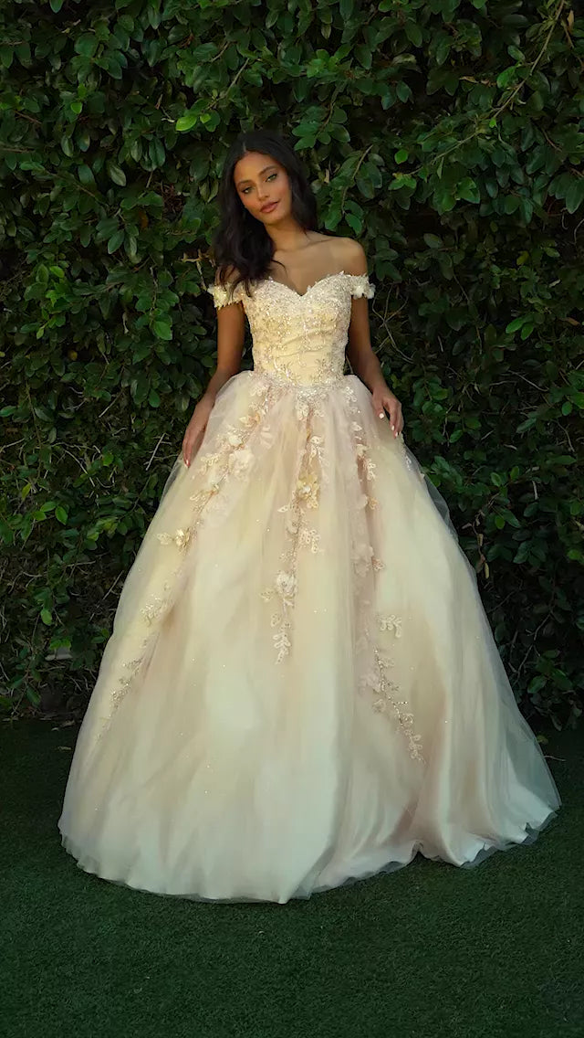 videowise-widget-6675879ca76a3d00290aacea-7459518283969