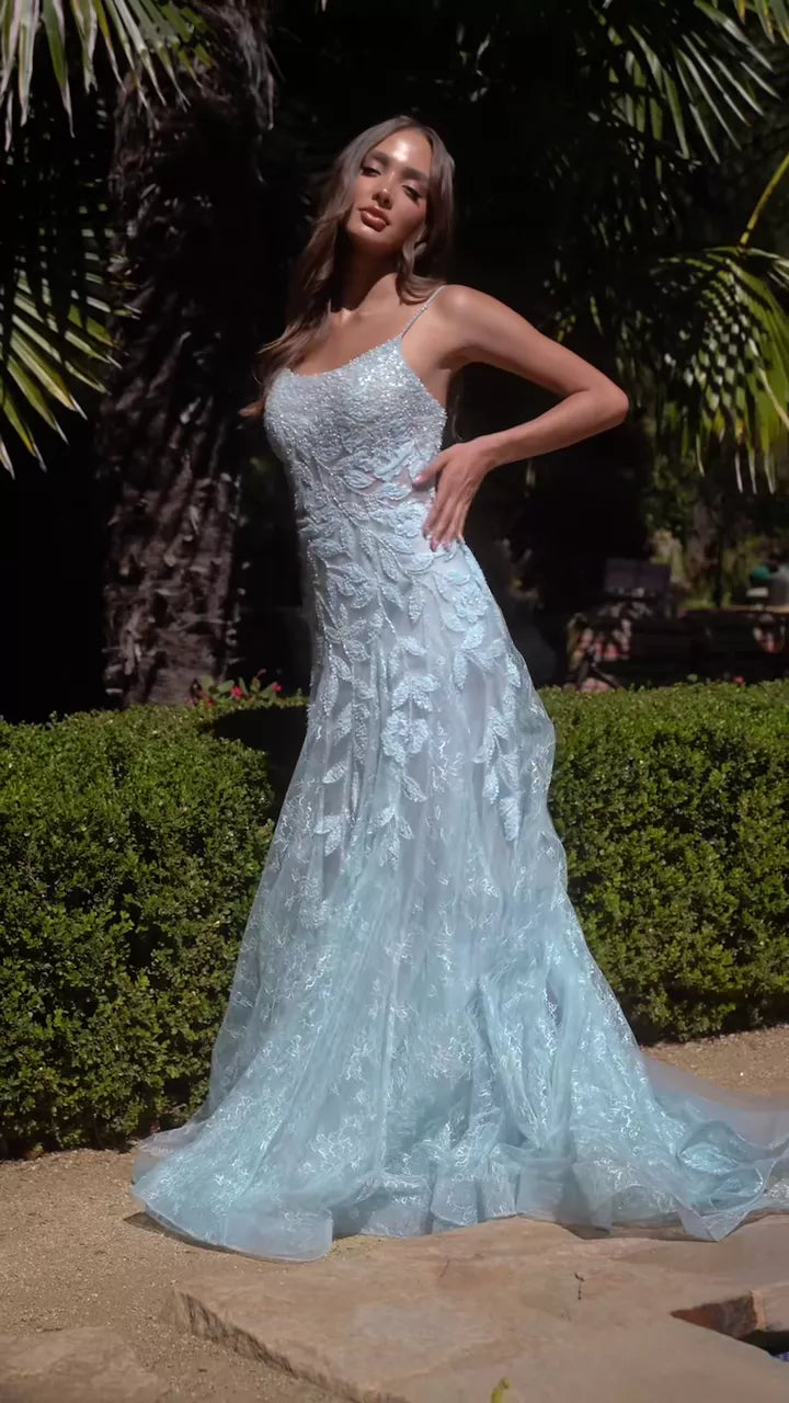 videowise-widget-6675879ca76a3d00290aacea-10132527382721