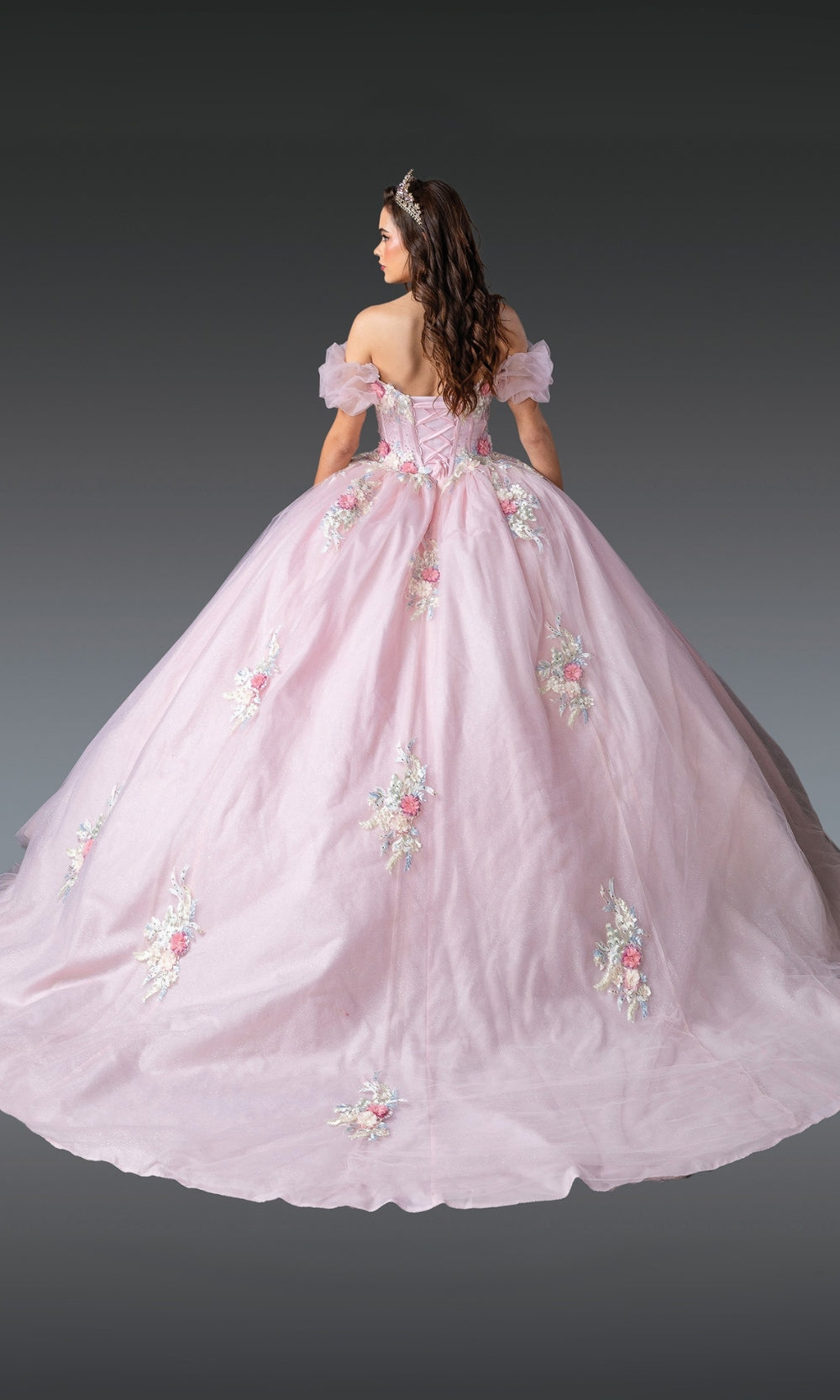 Pink ball gown with floral embroidery on a plain background
