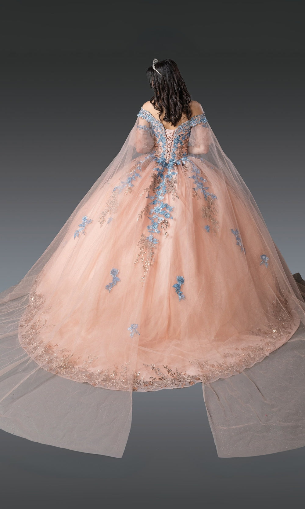 Pink evening gown with blue floral embroidery on a dark background