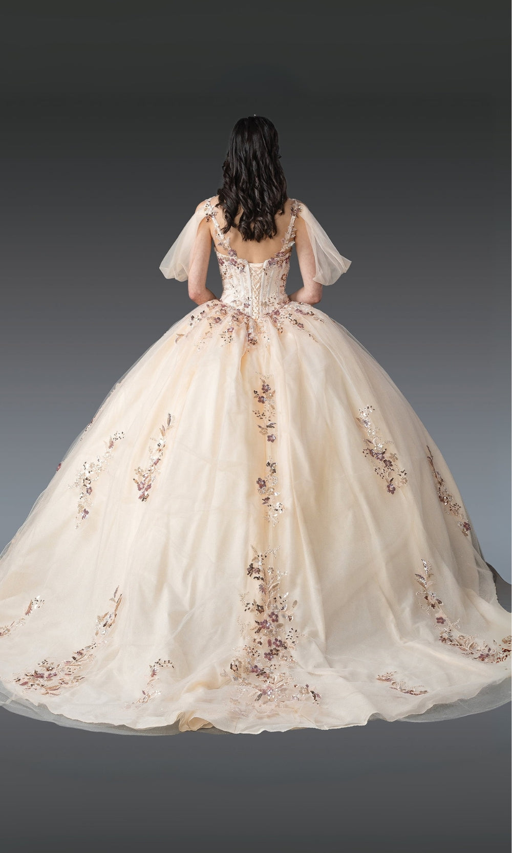 Beige ball gown with floral embroidery on a dark background