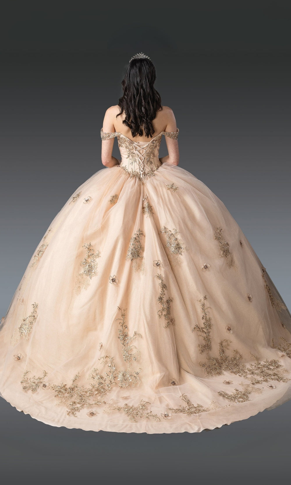 Beige ball gown with floral details on a plain background