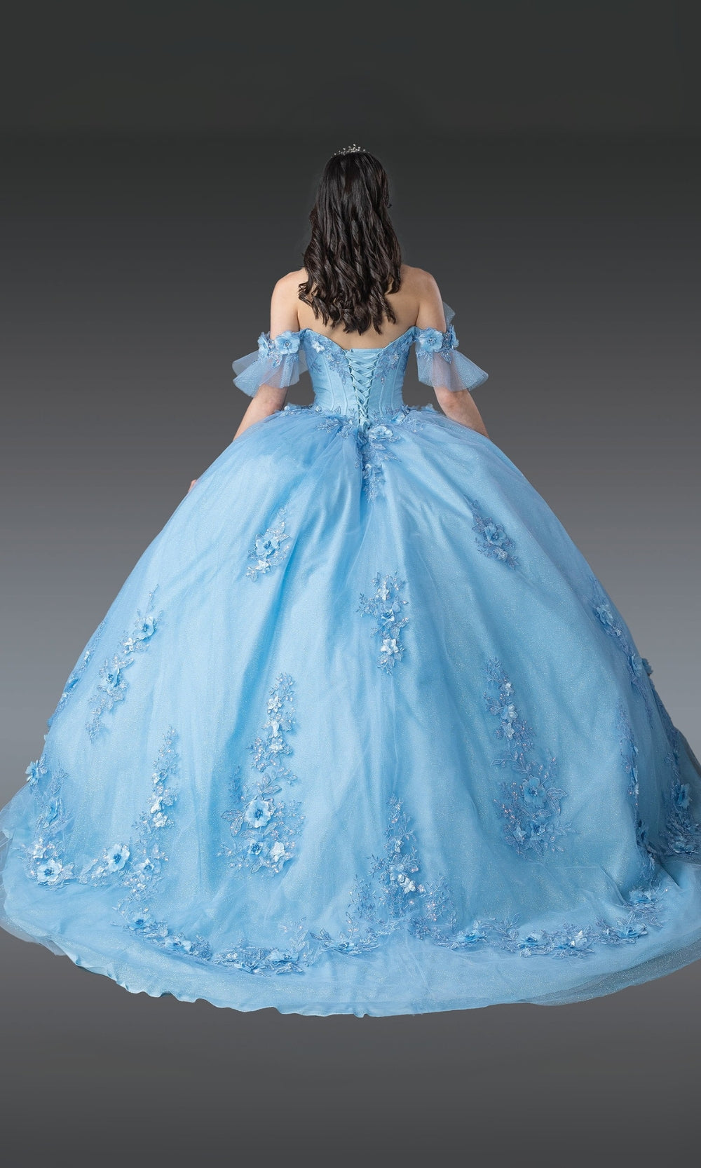 Light blue ball gown with floral details on a plain background