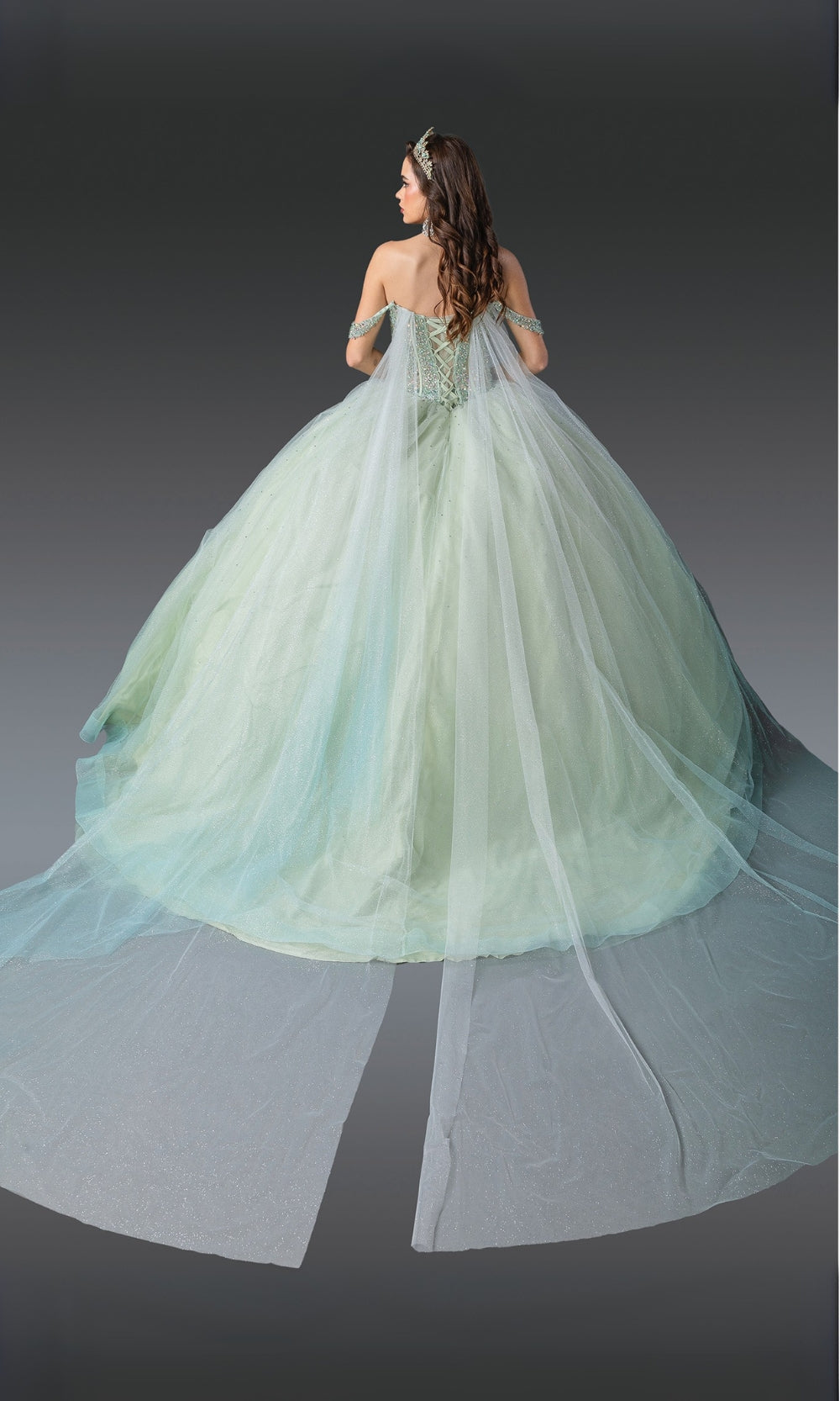 Woman in a light green wedding dress with a long train on a dark background