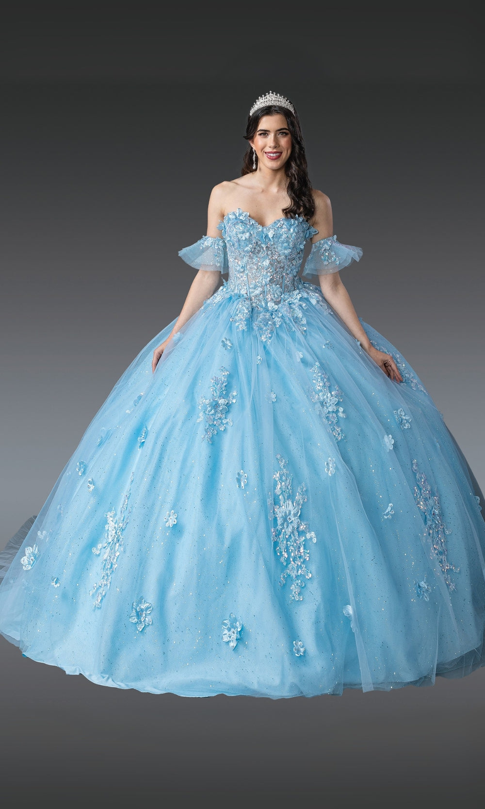 Woman wearing a light blue ball gown with floral embroidery on a dark background