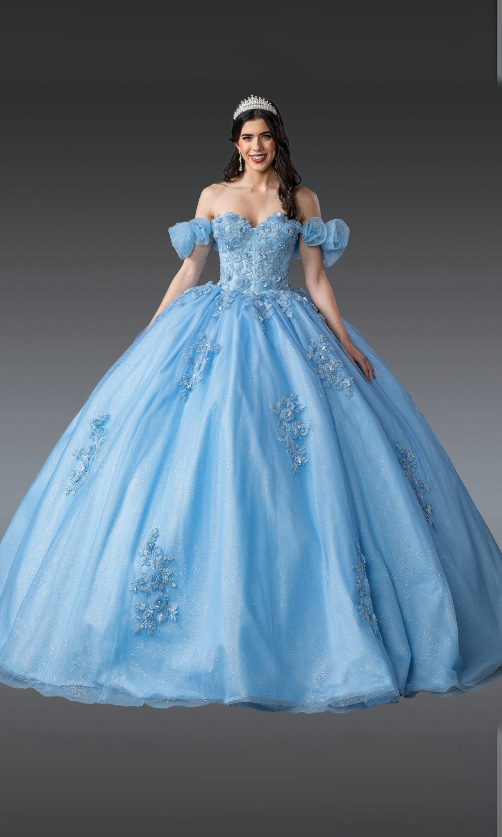 Woman wearing a blue ball gown with floral embellishments on a gray background