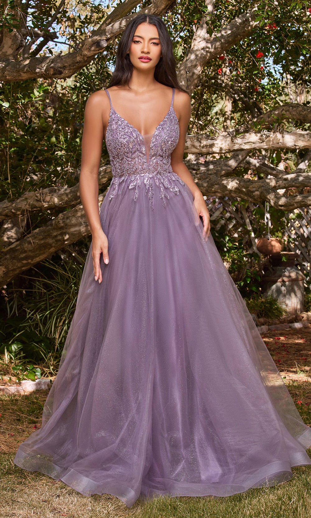 Ladivine CD0154 English Violet