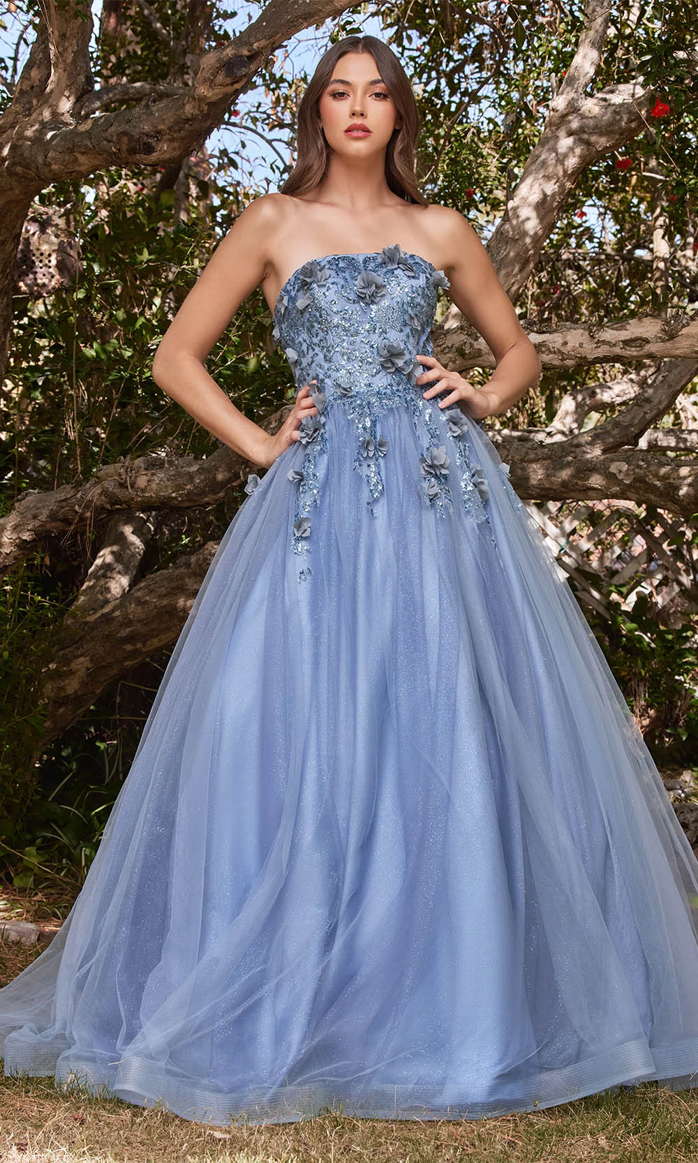 Ladivine CD955 Smoky Blue