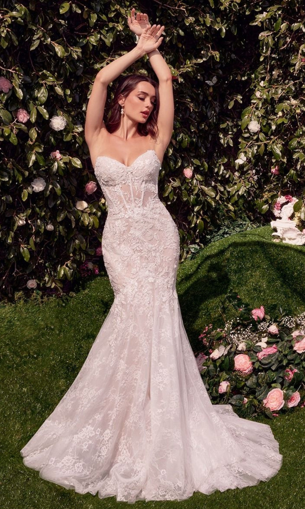 Andrea and Leo WL031