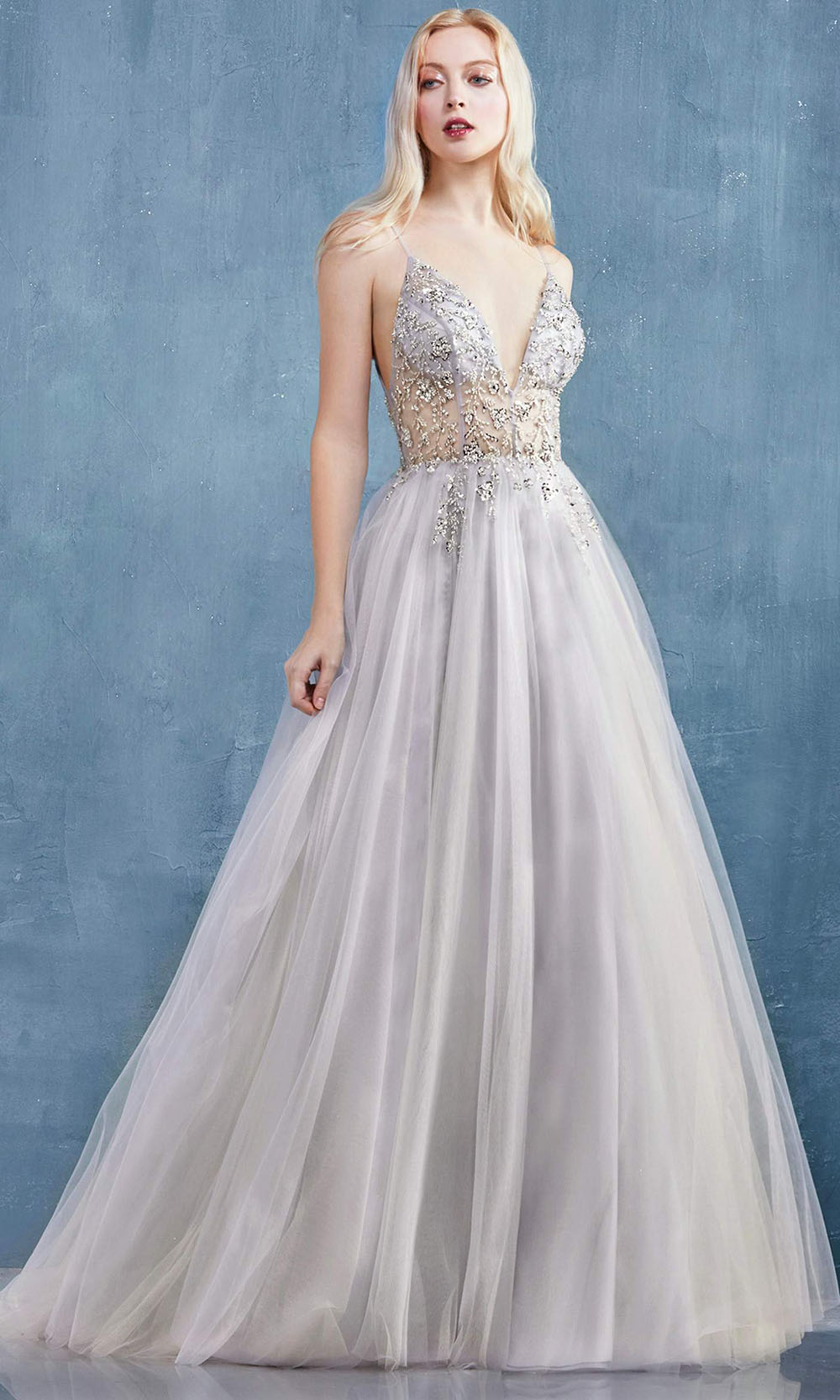Andrea and Leo - A0672 Illusion Beaded Bodice A-Line Tulle Gown In Silver and Gray
