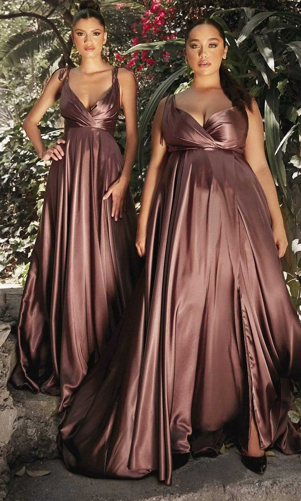 Ladivine BD105 In Brown