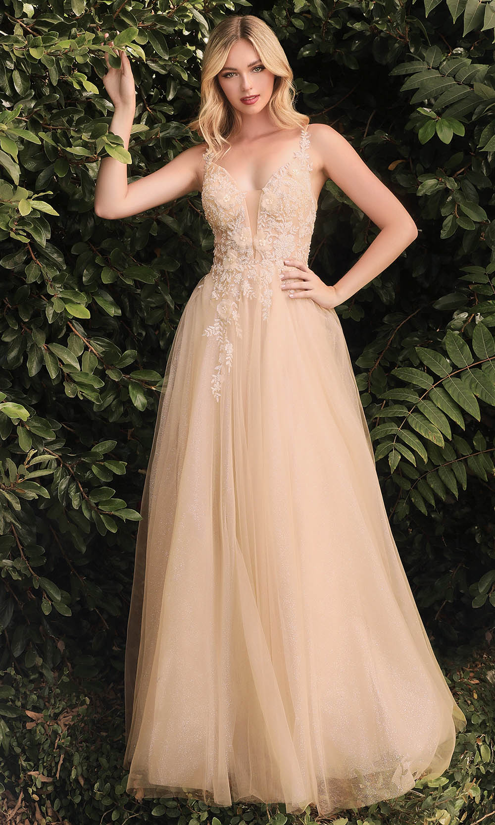 Ladivine CB075 In Neutral