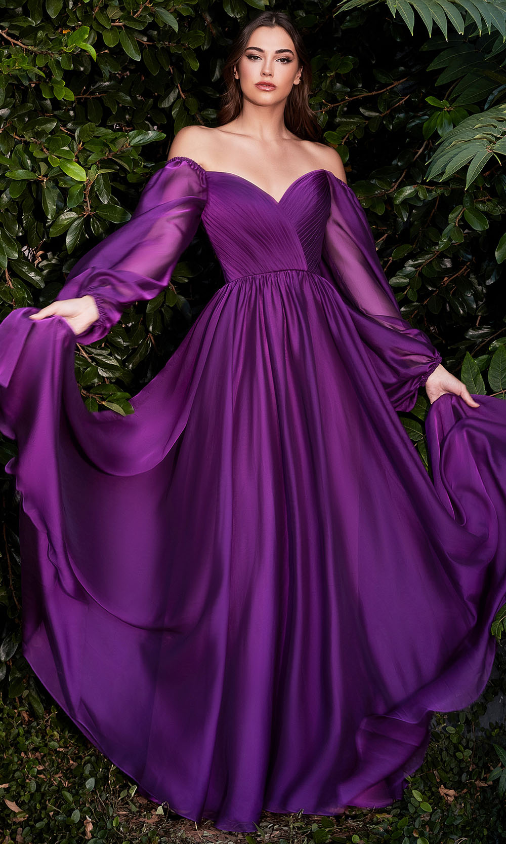 Ladivine CD243 In Purple
