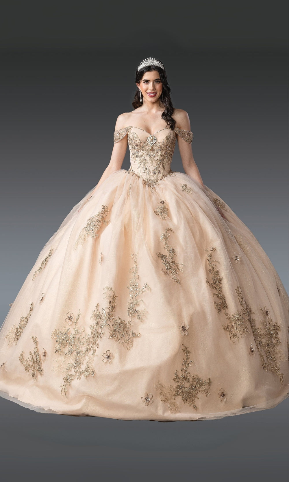 Woman wearing a beige ball gown with floral embroidery on a dark background