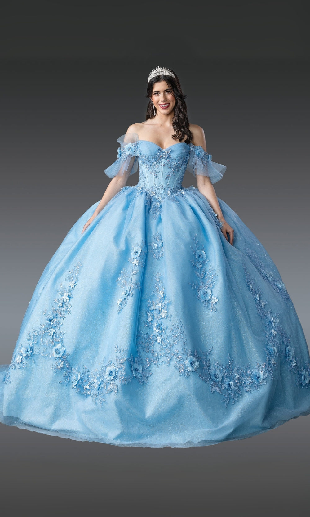 Woman wearing a light blue ball gown with floral details on a gray background
