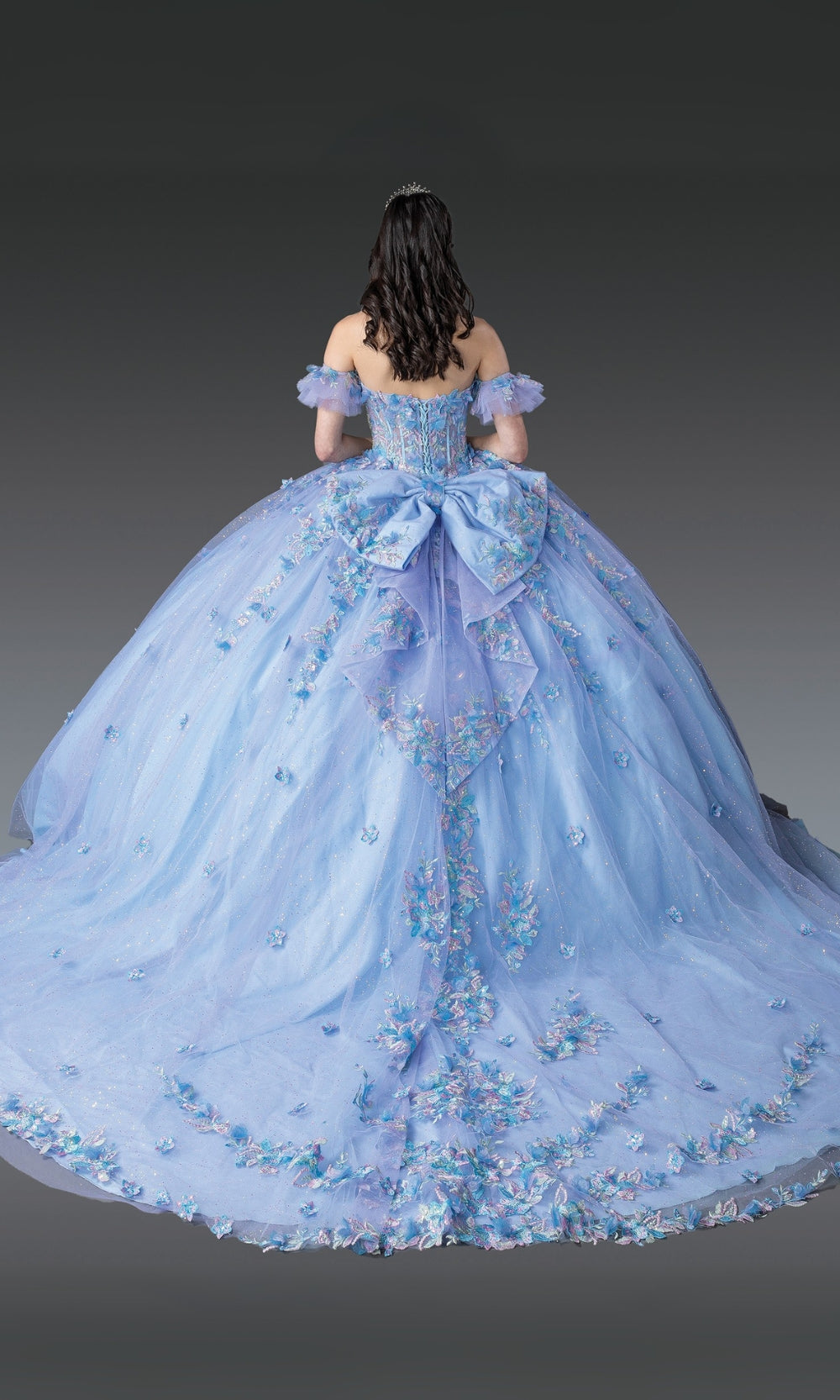 Light blue ball gown with floral details on a plain background