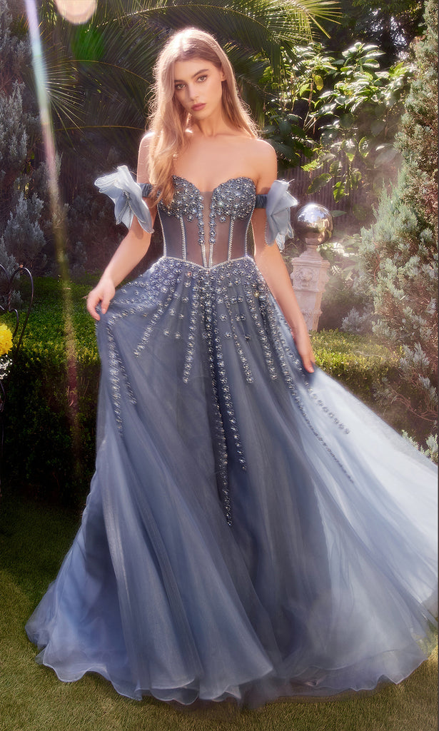 Opulent Plus Size Gown with Embroidered Bodice and Long Skirt #CDS7201