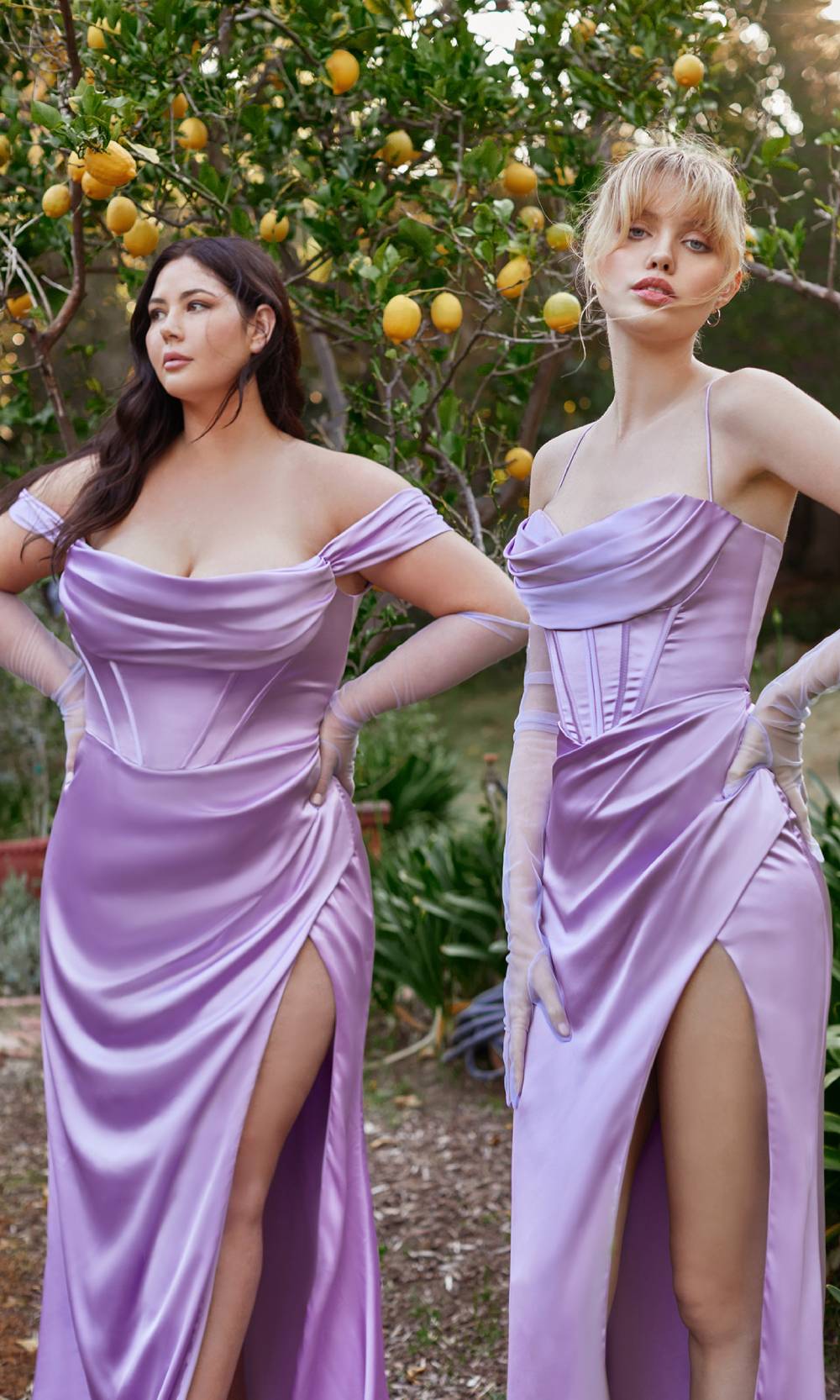 Ladivine 7492C Lavender