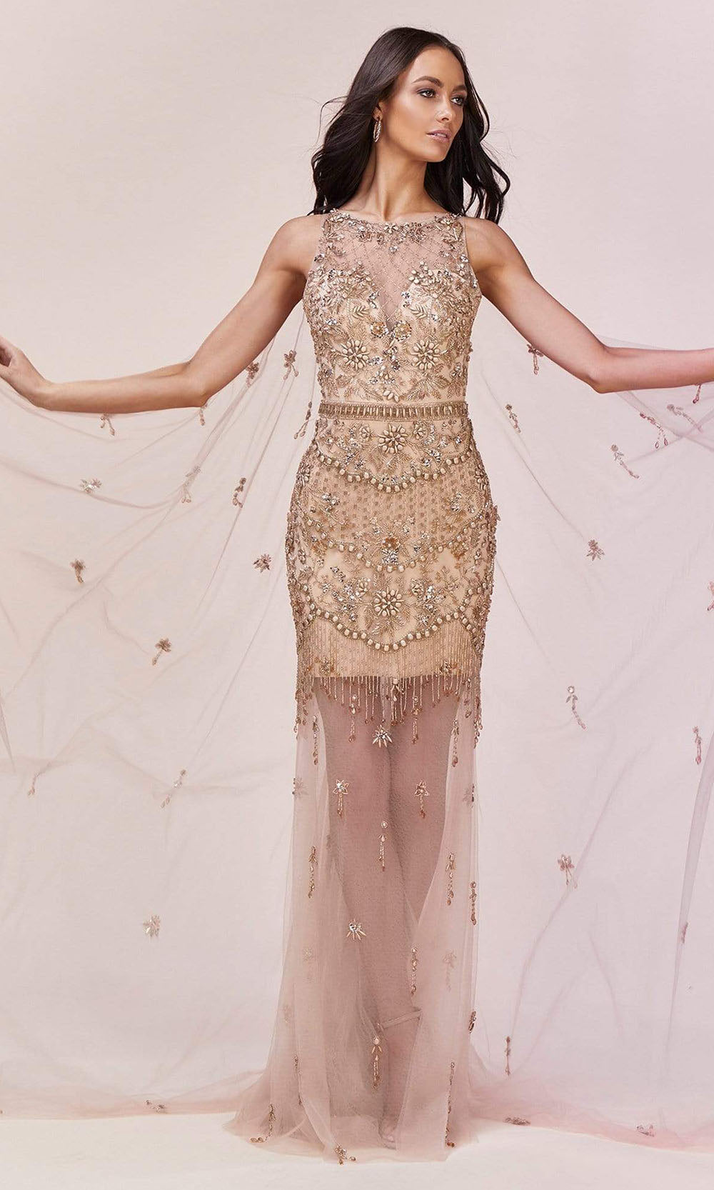 Andrea and Leo - A0520 See Through Mesh Cape Dress In Gold