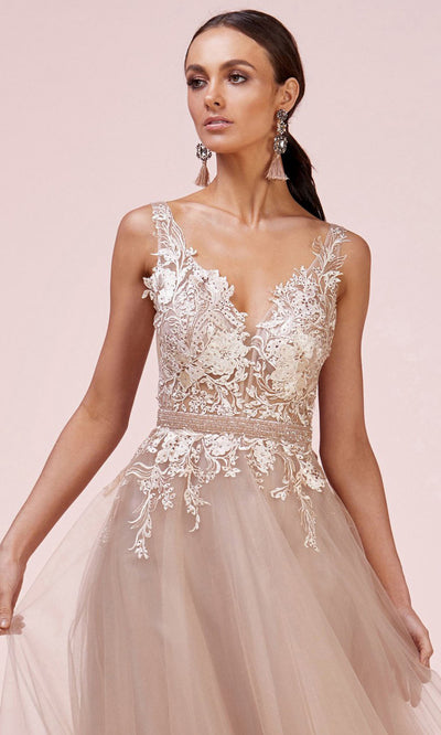 Andrea and Leo - A0567 V Neck Embroidered Tulle Gown In Pink and Gold