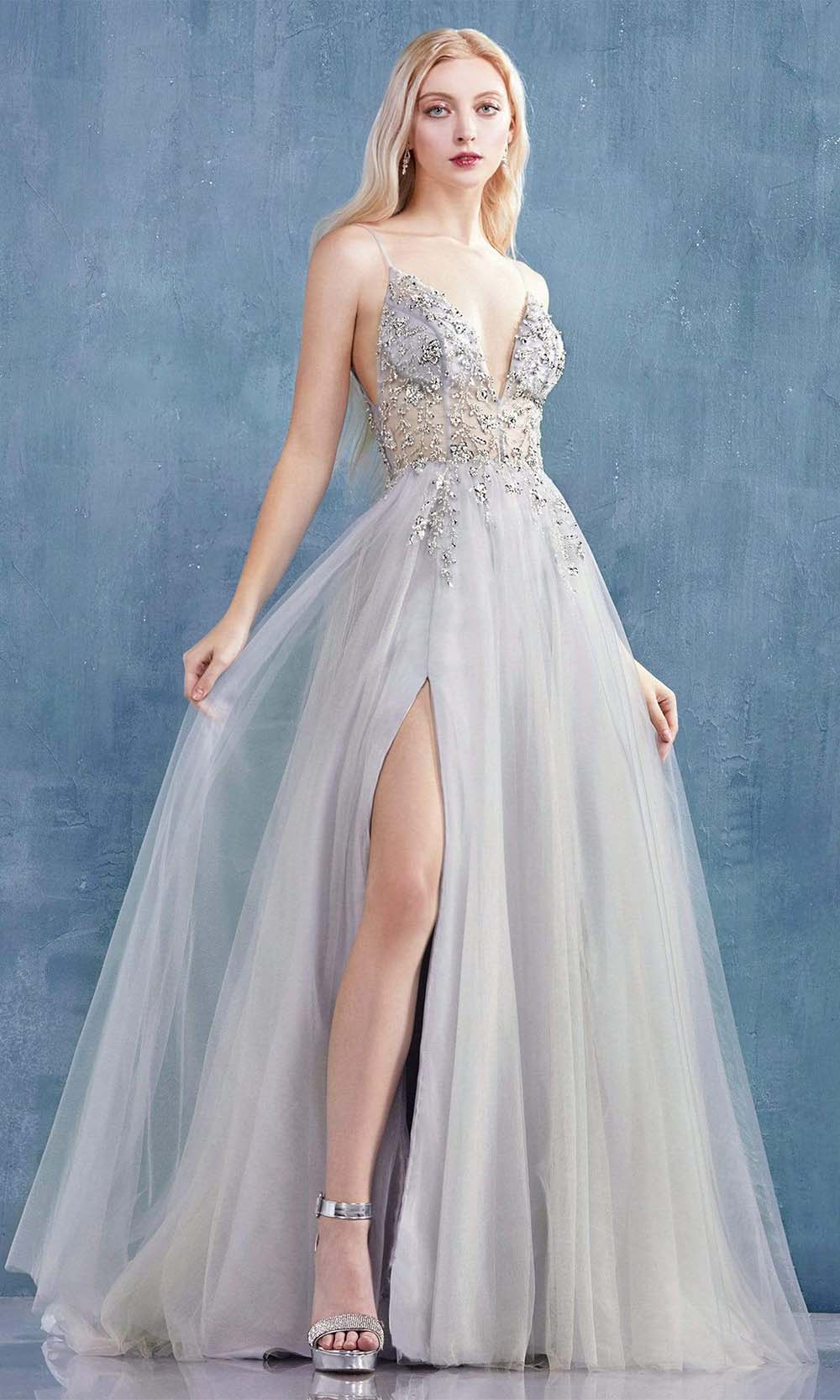 Andrea and Leo - A0672 Illusion Beaded Bodice A-Line Tulle Gown In Silver and Gray
