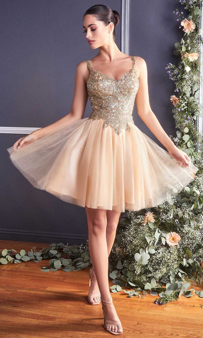 Cinderella Divine - 9239 Metallic Appliqued Fit And Flare Short Dress In Champagne and Goldgrade 8 grad dresses, graduation dresses