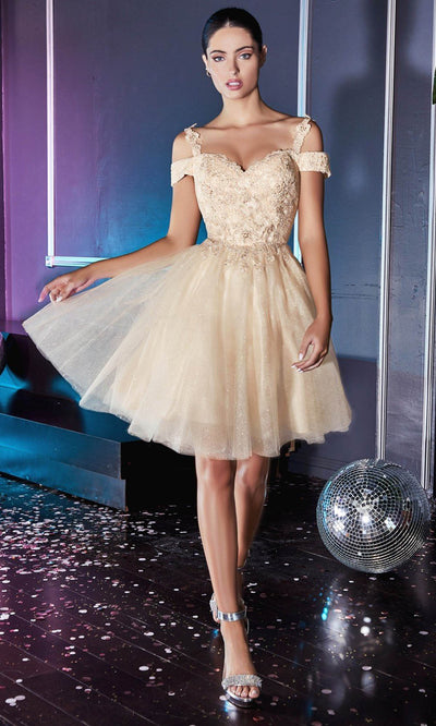 Cinderella Divine - CD0132 Glitter Tulle A-Line Dress In Champagne & Goldgrade 8 grad dresses, graduation dresses