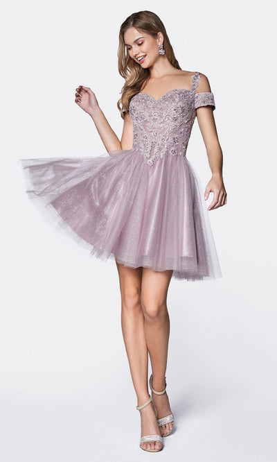 Cinderella Divine - CD0132 Glitter Tulle A-Line Dress In Mauvegrade 8 grad dresses, graduation dresses