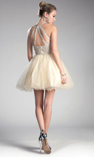 Cinderella Divine - UJ0119 Applique Strappy Back Dress In Champagne & Goldgrade 8 grad dresses, graduation dresses