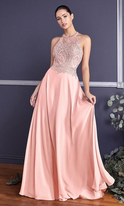 Cinderella Divine - UJ0120 Illusion Applique A-Line Gown In Pink