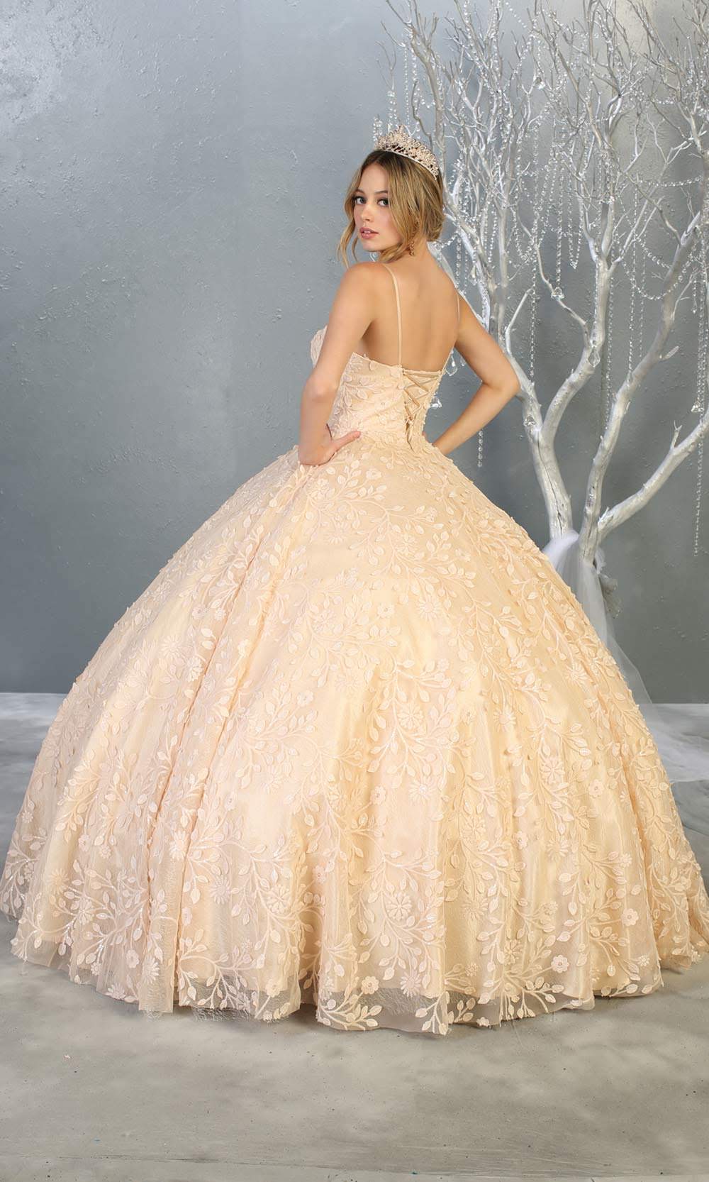 Mayqueen LK150 champagne quinceanera ball gown w/lace detail & thin straps. This light gold ball gown is perfect for engagement dress, wedding reception, indowestern party gown, sweet 16, debut, sweet 15, sweet 18. Plus sizes available for ballgowns-b.jpg