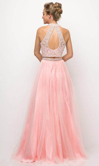 Ladivine - 8994 Teardrop Cutout Back Gown In Pink
