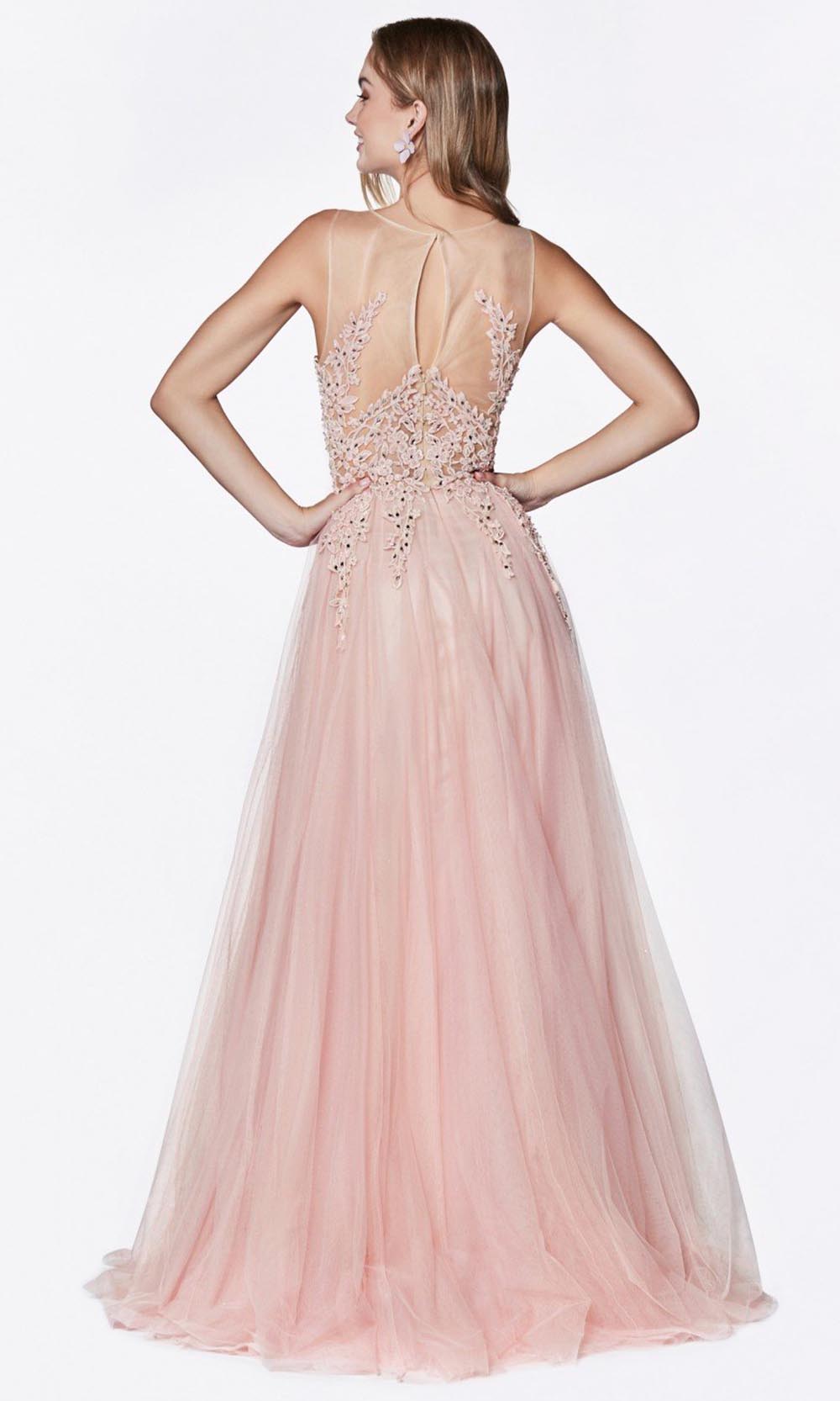 Cinderella Divine - CJ501 Jeweled Lace Tulle A-Line Dress In Pink