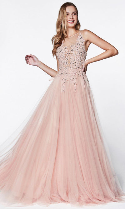 Cinderella Divine - CJ501 Jeweled Lace Tulle A-Line Dress In Pink