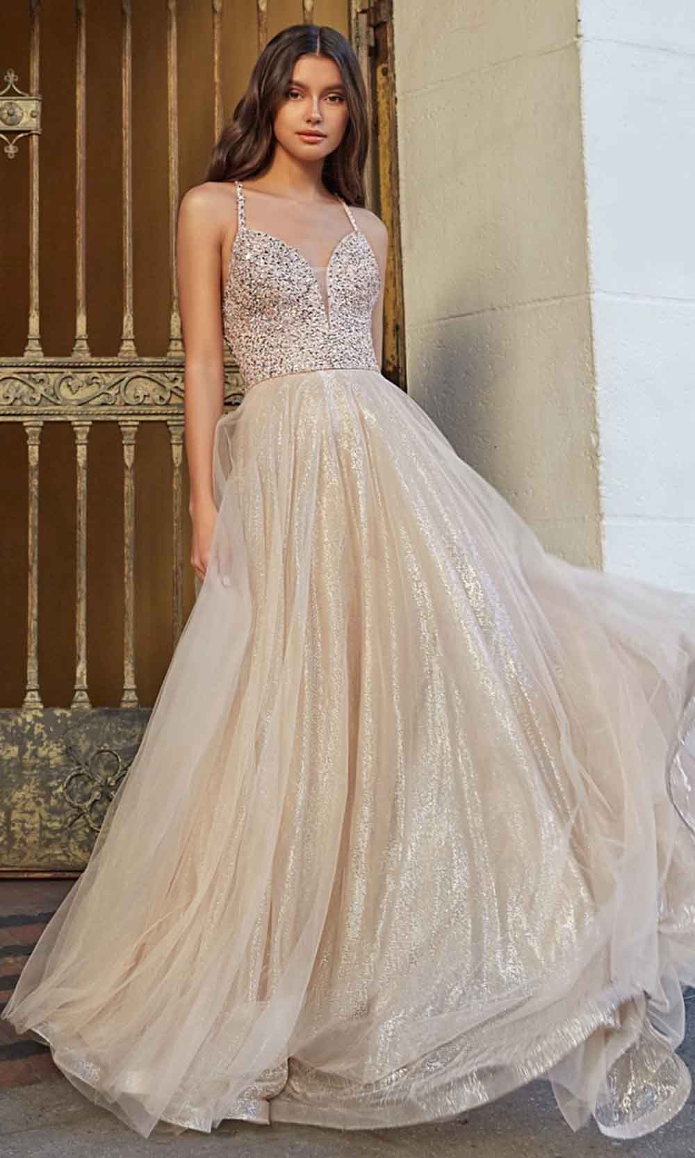 Cinderella Divine - CR835 Beaded A-Line Dress In Champagne