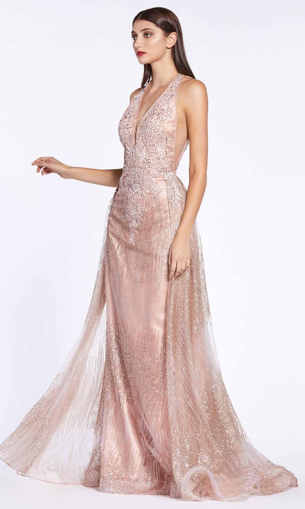 Cinderella Divine - CW767 Fitted Glitter Gown In Pink