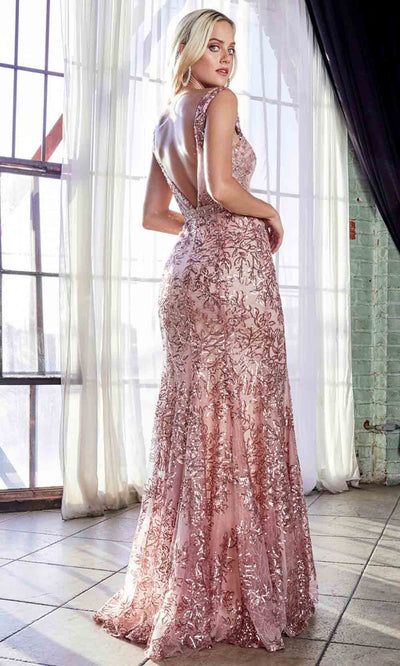 Cinderella Divine - HT062 Fitted Lace Gown In Pink